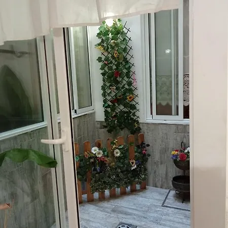Apartment Center Flat *
