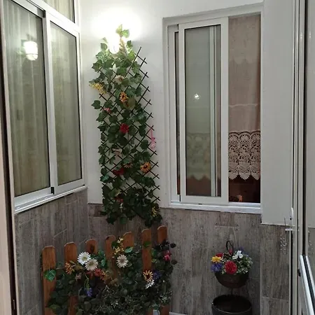 Apartment Center Flat